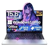 PASO ECO ノートパソコン 第13世代 N95 15.6型 FHD IPS液晶 MS Office 2021 メモリ8GB SSD256GB