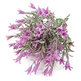 Lucky House(ラッキー ハウス) 風鈴草 ユリ 造花 枯れない花 花材 （6枝） プレゼント お祝い 結婚式ブケ バレンタインギフト 誕生日 母の日 (パープル) 5色が選べる (ローズ)