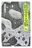 錯覚する脳―「おいしい」も「痛い」も幻想だった by くまお