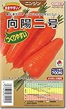 ニンジン種子・向陽二号（ペレット種子200粒）人参