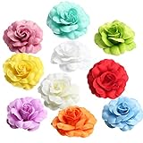 MagiDeal 10 Piece人工シルクローズフラワーヘッドウェディングデコレーションDIYフラワーボールクラフト5 cm 0579025510263DEA