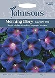 JOFL 英国ジョンソンシード Morning Glory Grandpa Otts モーニング・グローリー・グラッパ・オッツ