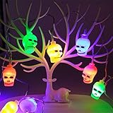 Bidason ハロウィン 電飾 髑髏 電球　LED　ドクロ ストリングライト　イルミネーション　ガイコツ 飾り物　パーティー　頭蓋骨 ハロウィン イルミネーションLED ライト 骸骨 全長2M　LE