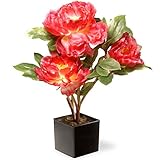 Nationalツリー会社Potted牡丹シルク花 – ピンク ブラック NF36-5128D-1