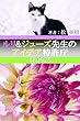 ルリ&ジューズ先生のアイデア特許庁『 東京都心に20万円で墓を作る方法 』