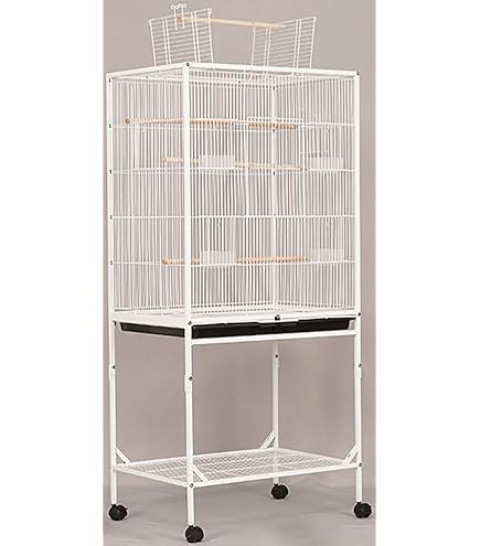 Amazon | Nagine 鳥かご 大型 鳥 ケージ 大型 高強度 大きい 鳥
