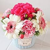 petit ストライプ cup　生花のアレンジメントです 。「誕生日」「お祝い」「贈物」 ■■ お届け不可日／12月4日(月)14日(木)18日(月)22日(金) ◆◆ お届け日時指定便／指定可能時間