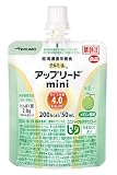 テルミール アップリード mini メロン風味 UL-M0520CP 24個