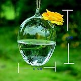 amzmonnsutaガラスの花瓶水耕植物コンテナハンギングエッグシェイプ