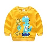 2-7歳　子供服　スウェット　男の子　sweat 長袖　恐竜柄　上着　ボーイズ　Uネック　熊猫柄　ブラウス　ラウンドネック　カジュアル　普段着　イエロー　ブルー 身長90-130cm