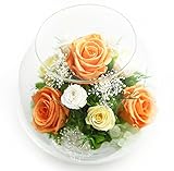 アートフォーシーズン　MS天然ダイヤモンド プリザーブドフラワー (オレンジ)