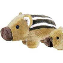 Amazon.co.jp: キュート販売 うり坊 ぬいぐるみ S Z0277 : おもちゃ