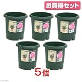 お買得セット リッチェル バラ鉢 ダークグリーン 6号 φ18×18cm お買い得5個入
