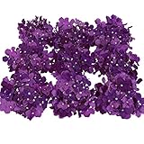 Luyue アジサイの 頭状花 シルク 造花 花ヘッド 花 部分のみ 直径 約 15センチ (8色 10個 )