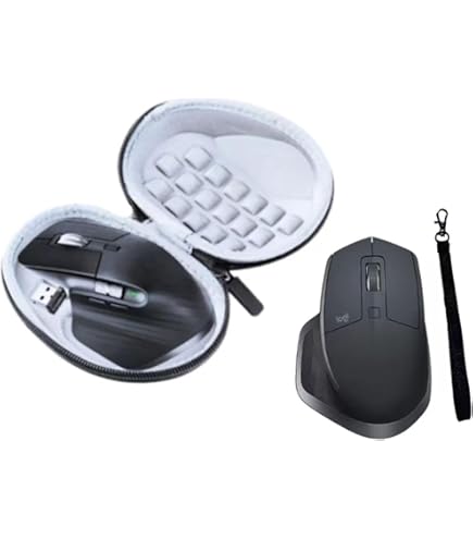 Étui De Transport Pour Souris De Jeu SUNGOOYUE - Compatible Razer Viper Ultimate Hyperspeed, Nylon/EVA, Noir