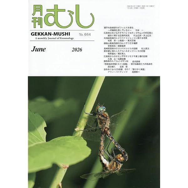 Amazon.co.jp: 月刊むし6月増刊号 ビークワ: 日本のノコギリクワガタ