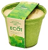 エコットＳ　ミント