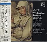 �N���X�}�X�E�J���^�[�^�W