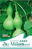 3パックビッグスプーンボトルひょうたん種子の15、野菜種子B007