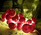 Mini Skater Plant Mushroom Shape Home Decorative Floral Art Lights,Battery Operated , 2 Meters Long 