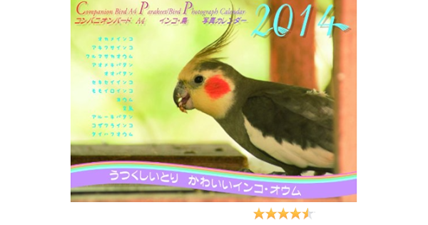 Amazon Co Jp コンパニオンバード インコ 鳥a4写真カレンダー14 うつくしいとり かわいいインコ オウム Ephoenix 桃 Koh 文房具 オフィス用品