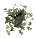 造花アート・観葉植物　壁掛アイビー＜ 誕生日祝い 結婚祝い 結婚記念日 出産祝いに ＞