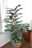 山久 シルクフラワーの 「ピーコック」 100 1306-8285【CT触媒加工】 snb 【観葉植物】【造花】