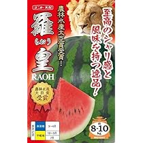 Amazon | サカタのタネ 実咲野菜0601 黒玉スイカ タヒチ 00920601 | 野菜