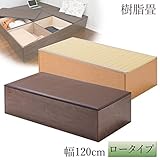 畳 収納 ボックス 樹脂畳ユニットボックス ロータイプ 幅120cm(ナチュラル)