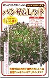 レタス種子・ハンサムレッド　レッドフリルレタス（100粒）