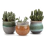 T4U 7CM 陶器鉢 サマートリオ 多肉植物 サボテン鉢 フラワーポット プランター容器 緑 3個入り