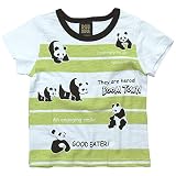《初夏盛夏対応》DODOMPA(ドドンパ) ボーダーパンダ天竺半袖Tシャツ 120cm/オフグリーン NO.F-974045