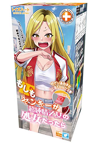 もしも ヤンキーが超純情乙女の処女だったら
