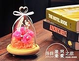 Lovoski ガラス製　ドーム　カバー　花瓶　コンテナ　トレイ付