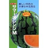スイカ 種 【 サマーオレンジM (ミドル) 】 種子 小袋（約8粒）