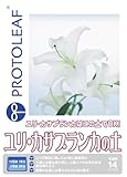 プロトリーフ ユリ・カサブランカの土 14L