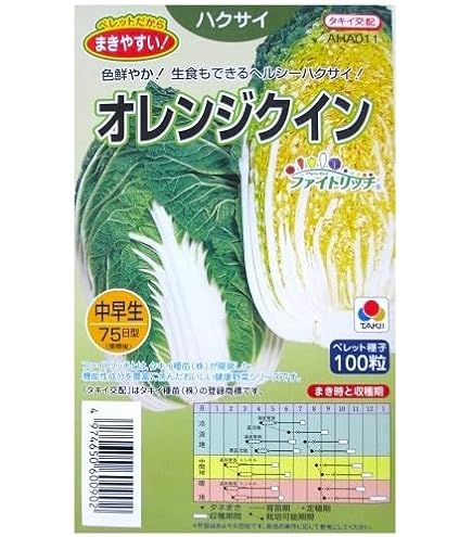 Amazon | 白菜 種 【 オレンジクイン 】 種子 小袋（約100粒） | 野菜