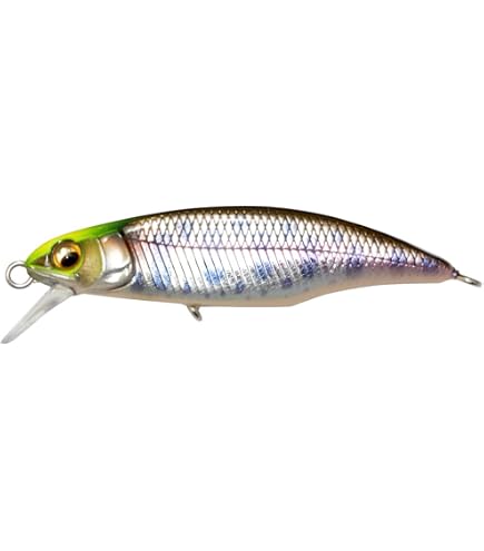 Amazon.co.jp: メガバス(Megabass) GREAT HUNTING(グレート