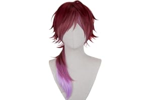 TTYAO REII ローレン·イロアス Lauren Iroas ウィッグ かつら コスプレウィッグ 髪 コスプレ用小物 コスチューム小物 変装用 cosplay ハロウィン クリスマス 仮装 イベント 文化祭 祭り 耐熱 wig ネット付き