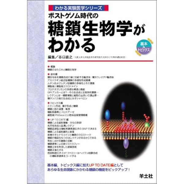 コールドスプリングハーバー糖鎖生物学 | Ajit Varki, 石田 秀治 |本