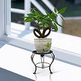 ヨーロッパスタイルのレトロバルコニー小さな鉢植えの植物の棚のデスクトップフラワーシェルフのディスプレイラック