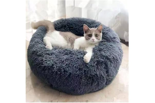 Sale 30 Off ベッド ソファ ドーナツ An50 An51 An52 可愛い 極小犬 パピー 超小型犬 小型犬 犬 猫 ペット 服 犬服 おしゃれ ふわふわ 冬 500円引きクーポン