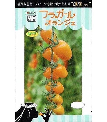 Amazon | 野菜種子 【フラガールオランジェ】ミニトマト 小袋（8粒