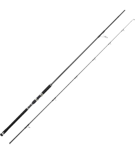 Amazon | AbuGarcia (アブガルシア) ソルティースタイル ショアジギ