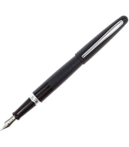 Pelikan ペリカン 万年筆 F 細字 デモンストレーター クラシック M205