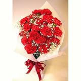 母の日ギフト カーネーション20本とかすみ草の花束 店長おすすめ母の日の大定番!