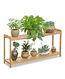 LIXIONG フラワースタンド マルチレイヤープーケットフラワースタンドフロア型植木鉢ラックソリッドウッド折りたたみ盆栽フレームバルコニー付きフラワーシェルフ 花支架 ( 色 : 2 Layers 