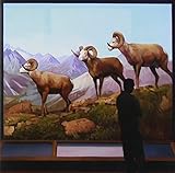 �U�E�}�W�V����