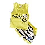 【SEBLES】ベビー 赤ちゃん 男の子 ノースリーブ ラウンドネック パンダ ボーダー シャツ 短パン ズボン ボトムス パンツ セット ツーピース コットン 綿 夏(タイプC,73cm)