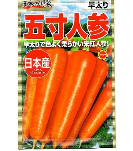 Amazon | 株式会社トーホク ニンジン 黒田五寸 陽彩 02561 | 野菜
